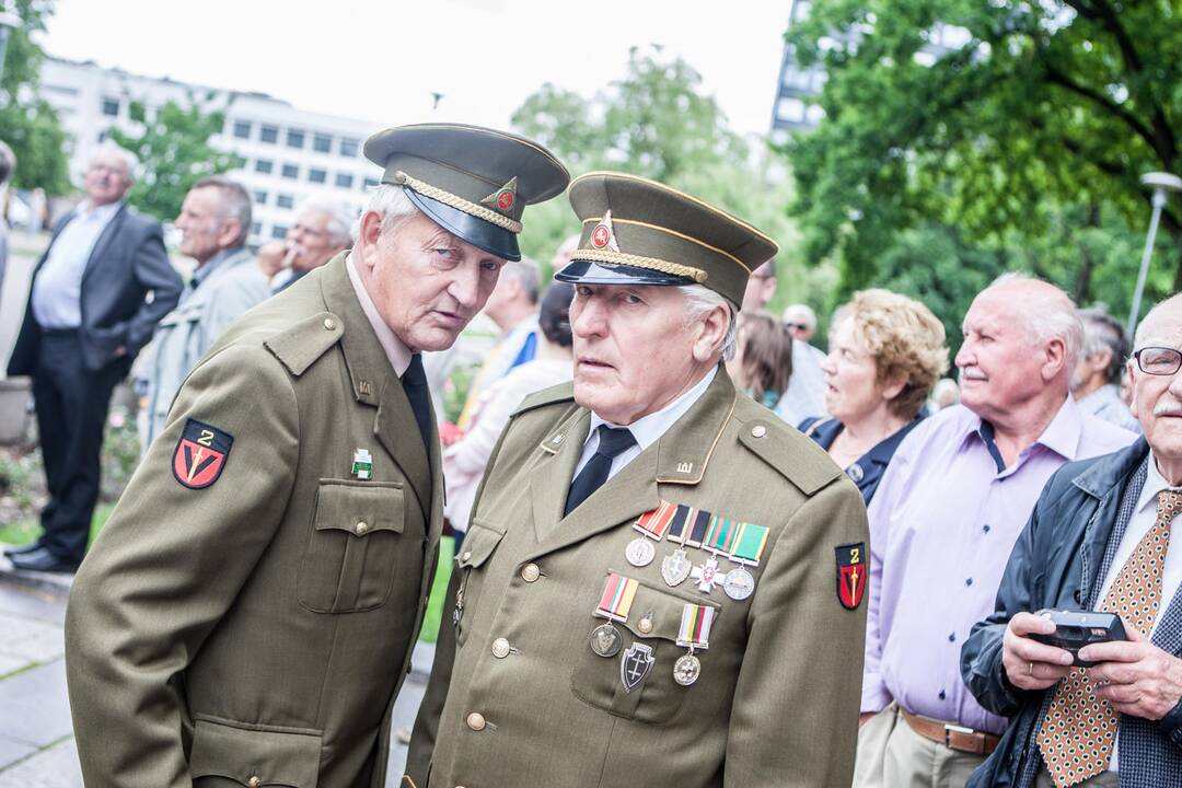 Valstybės dienos minėjimas prie Karo muziejaus