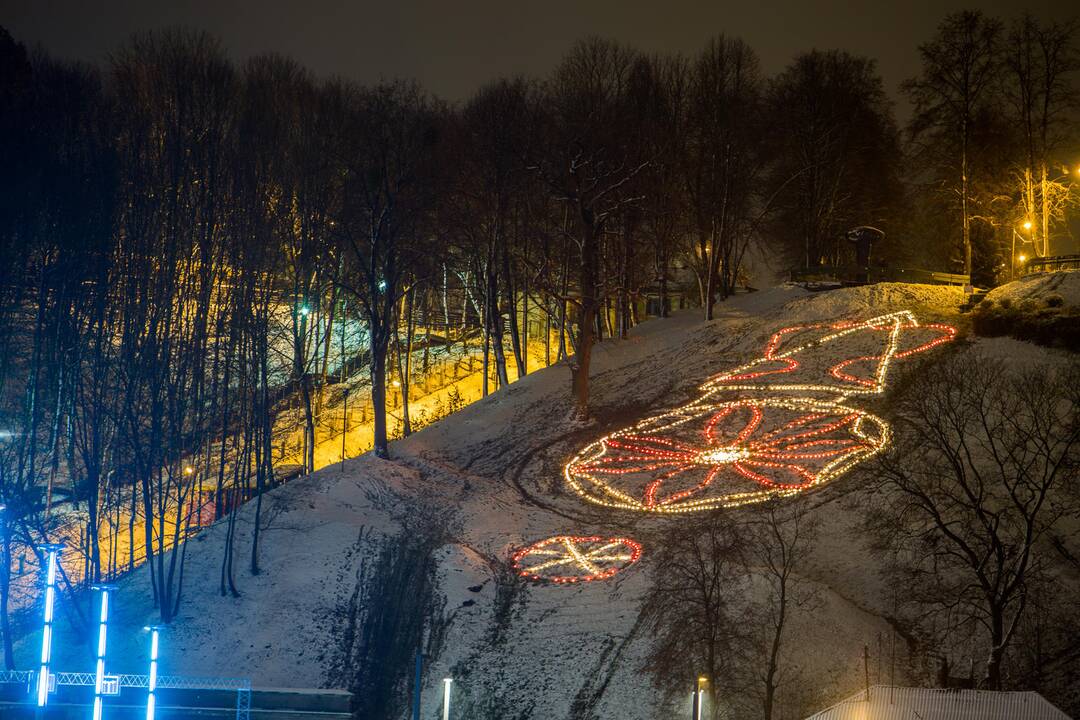 Paveikslas