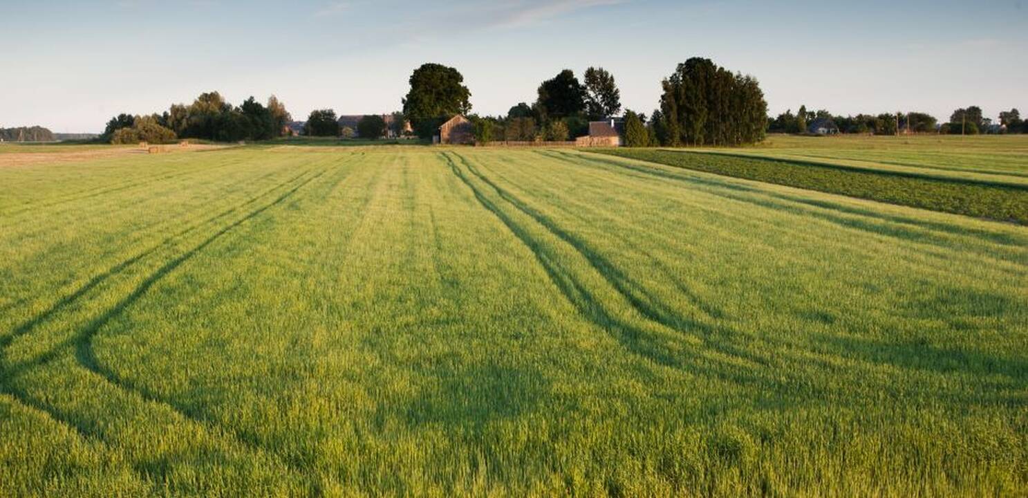 Prasideda pasėlių ir žemės ūkio naudmenų deklaravimas