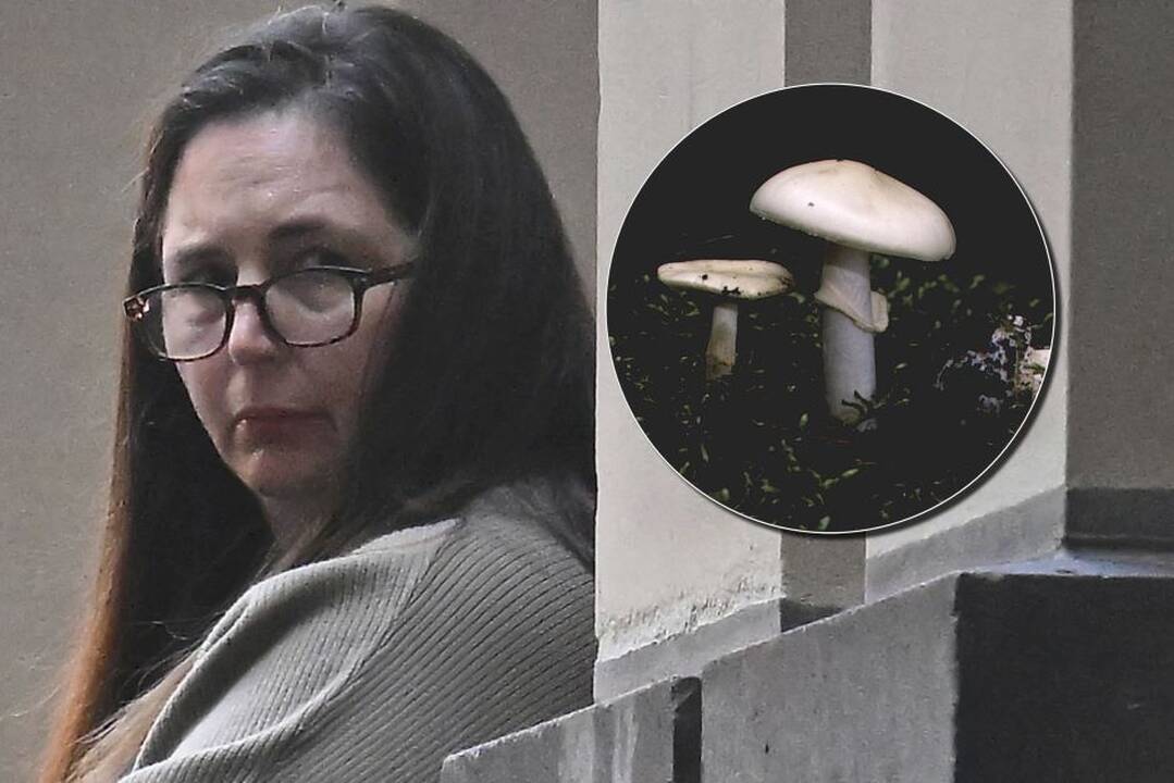 Teisme – neeilinė byla dėl grybų