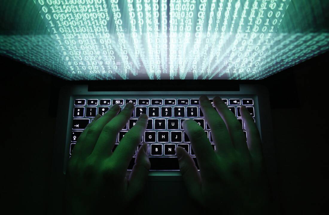 Ekspertų vertinimai: kokią žalą padaro internetinė ataka