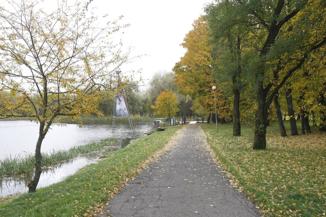 Spalvos: kol oro temperatūra nekrenta žemiau dešimties laipsnių, klaipėdiečiai gali grožėtis žalia medžių lapija.
