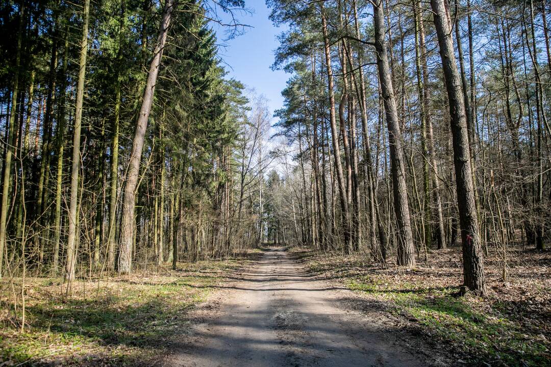 Aplinkosaugininkų surengtas keturračių reidas