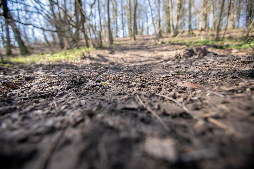 Aplinkosaugininkų surengtas keturračių reidas