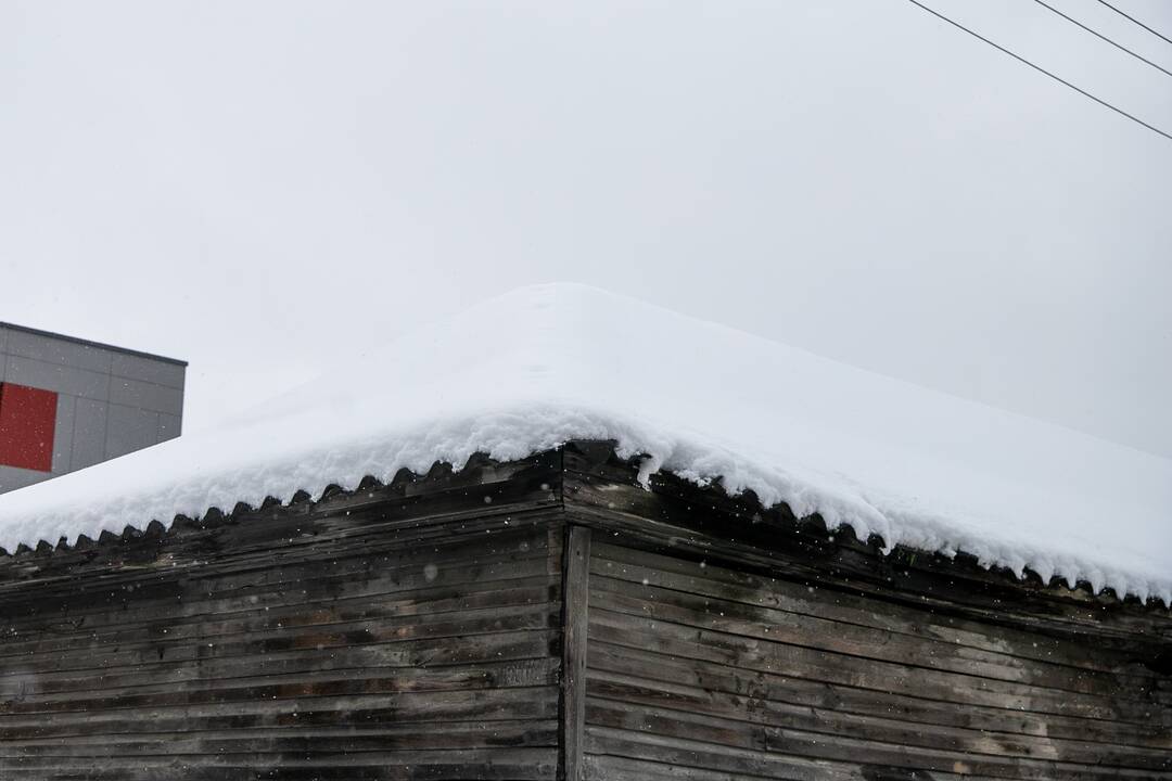 Gausus sniego sluoksnis padengė Kauno stogus