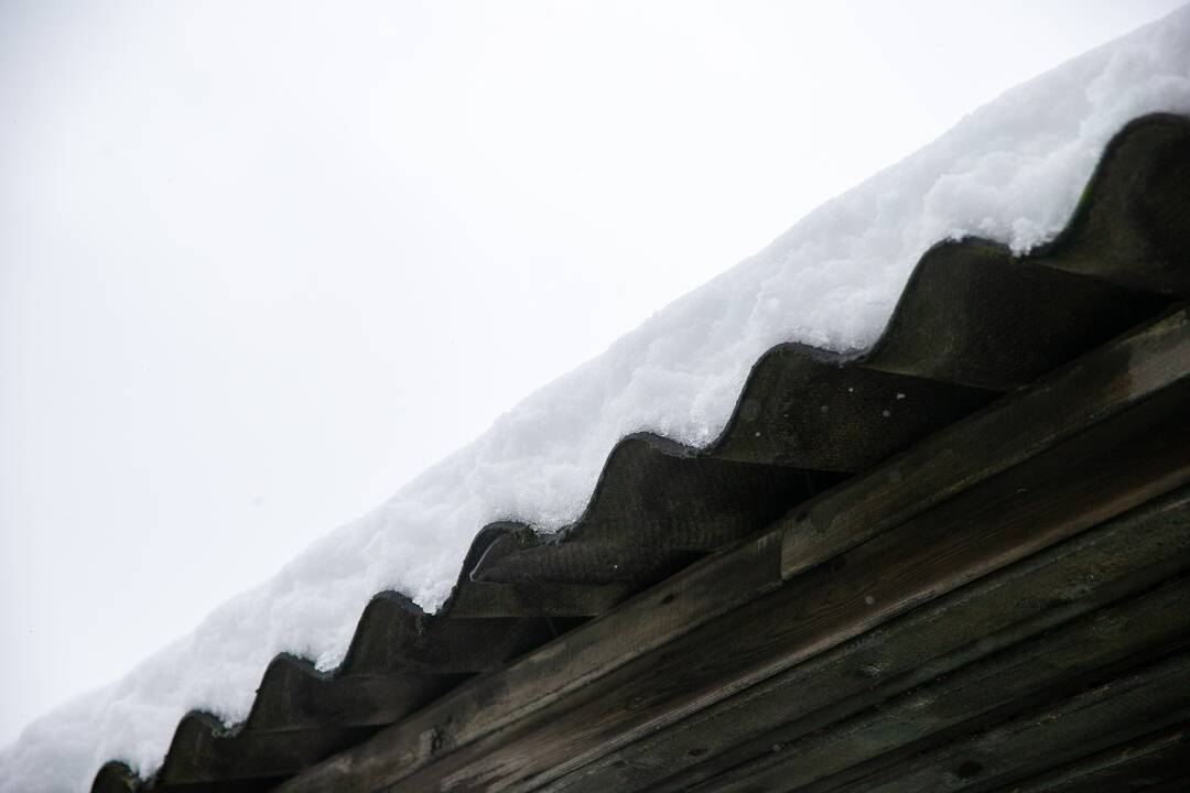 Gausus sniego sluoksnis padengė Kauno stogus
