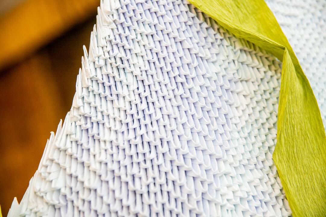 Mokinių origami gulbė pretenduoja į Lietuvos rekordų knygą