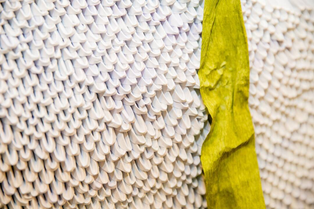 Mokinių origami gulbė pretenduoja į Lietuvos rekordų knygą