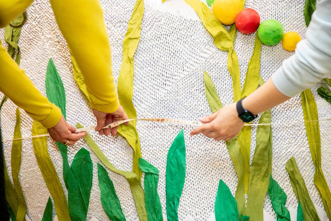 Mokinių origami gulbė pretenduoja į Lietuvos rekordų knygą