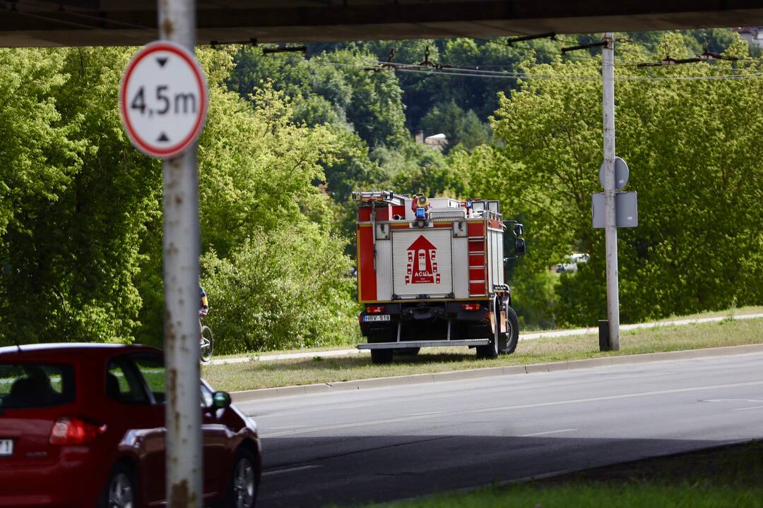 Automobilis nuriedėjo į Nerį