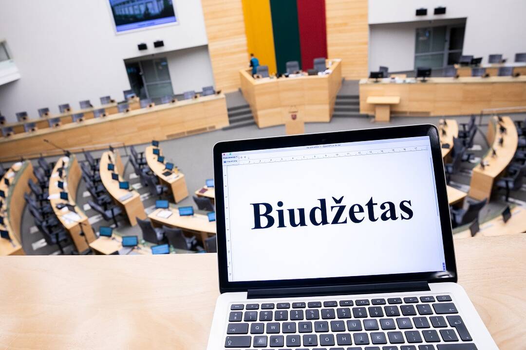 V. Čmilytė-Nielsen pranešė, kada ketinama Seimui pateikti kitų metų biudžeto projektą 