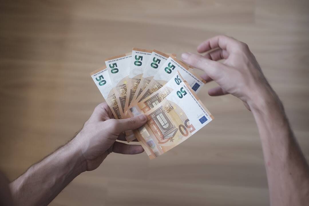 Parama žemės ūkio valdoms modernizuoti: paraiškų laukiama nuo rugsėjo