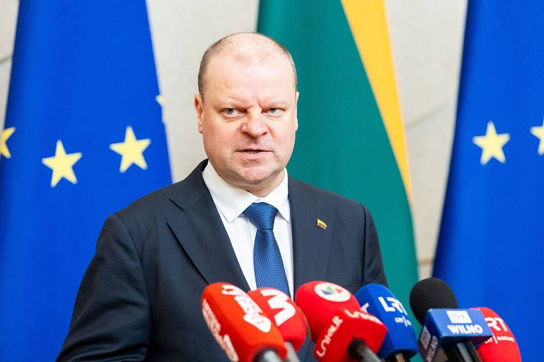 S. Skvernelis: gynybos finansavimas galėtų augti nedidinant mokesčių