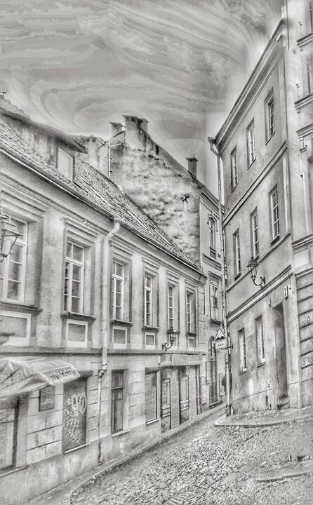 Pasirinkimas: atsisveikinusi su žurnalistika, J.Staučienė visa galva paniro į fotografiją.