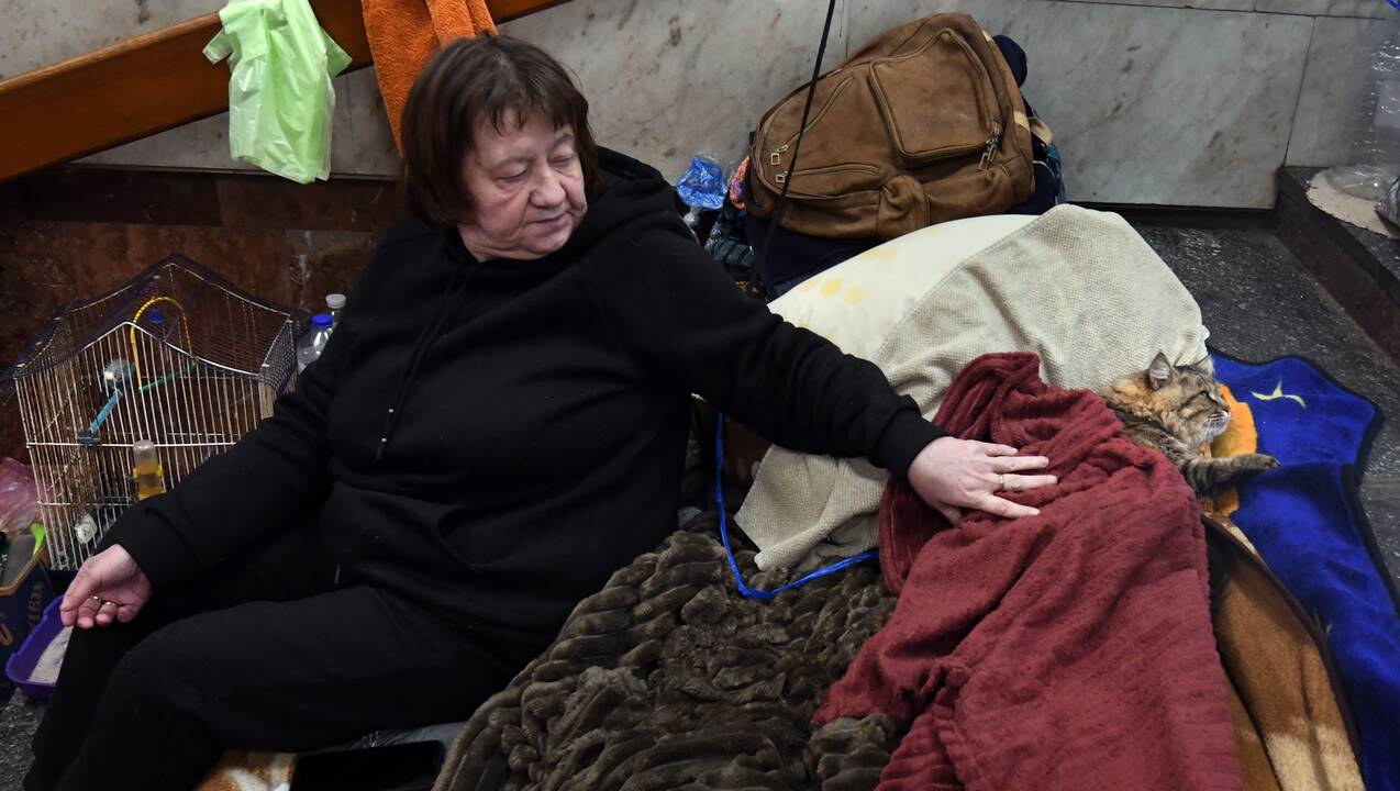 87-oji karo Ukrainoje diena