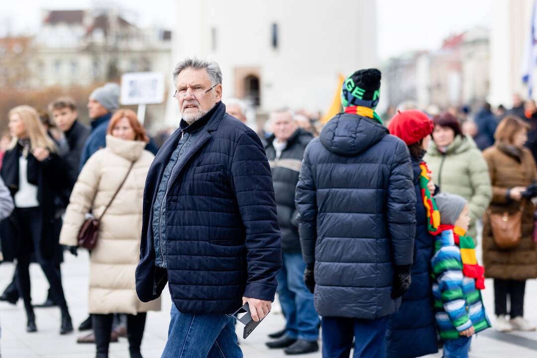 Lietuvos šeimų sąjūdžio mitingas