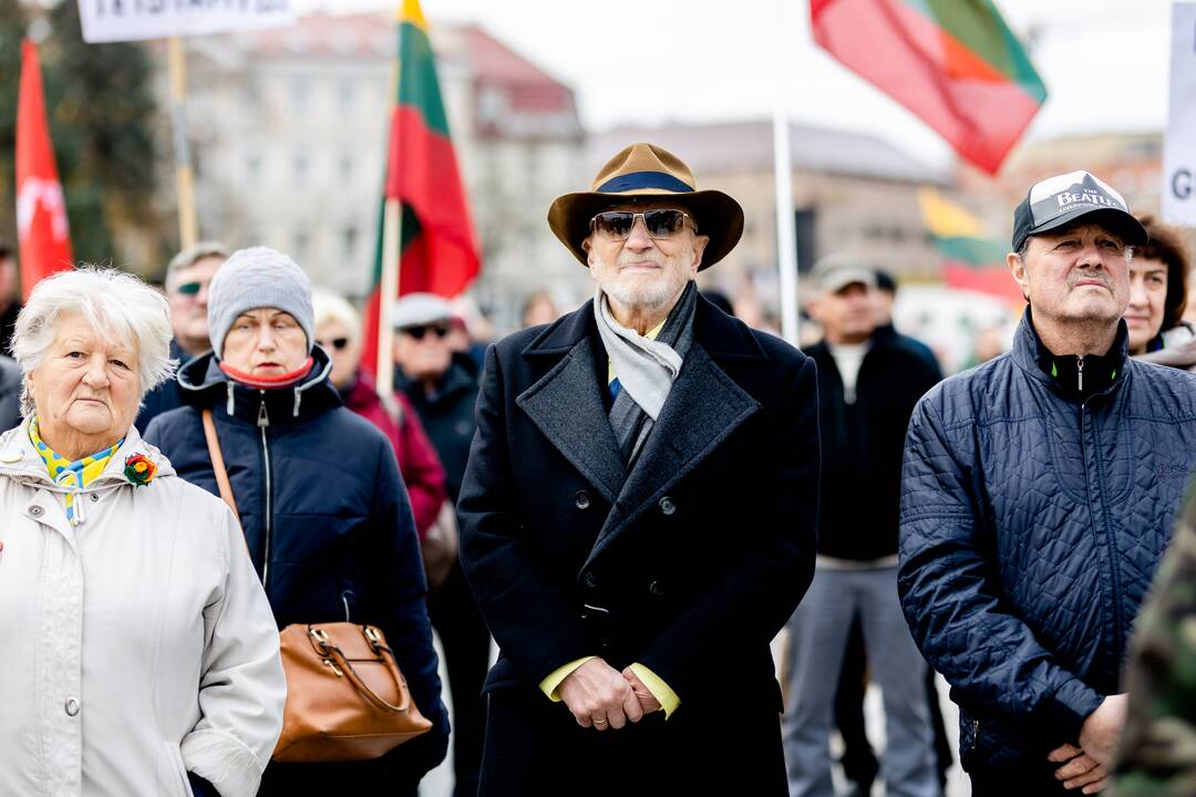 Lietuvos šeimų sąjūdžio mitingas