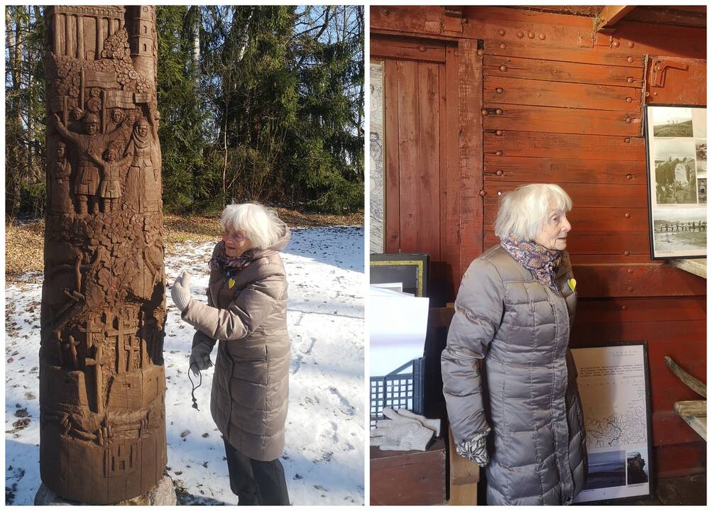 Irena Saulutė Valaitytė-Špakauskienė