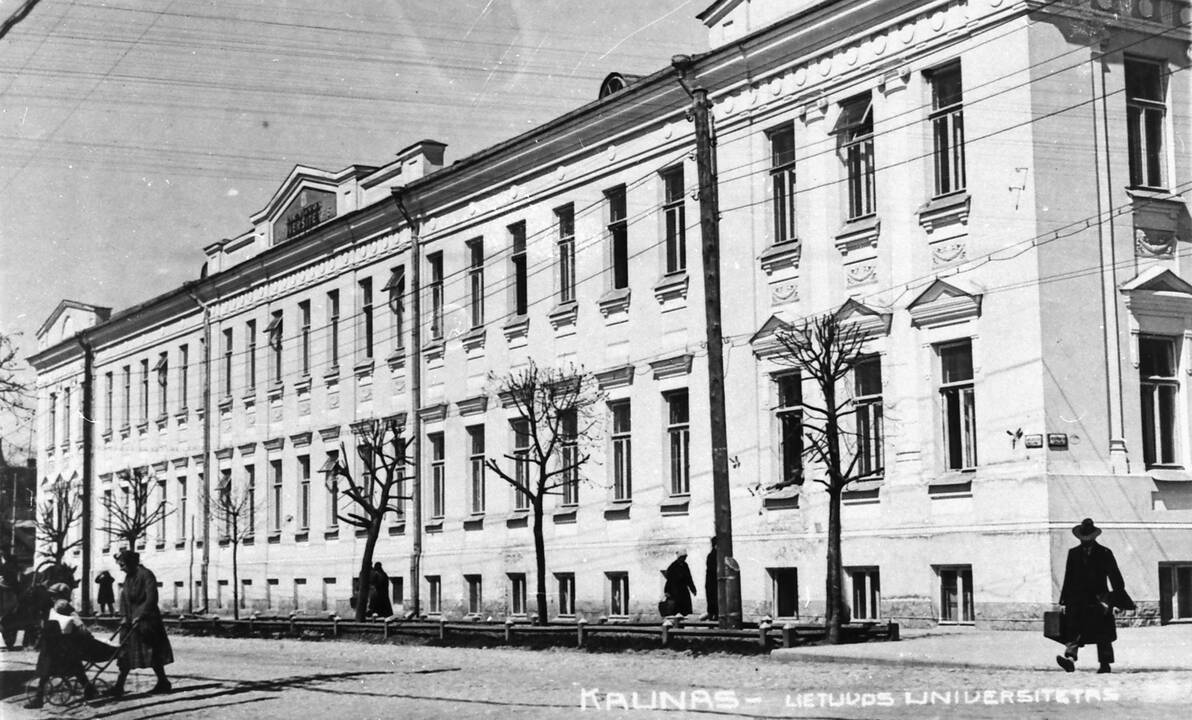 Pasiekimas: A.Kulakauskas akcentuoja, kad nuo nulio sukurtas universitetas per trumpą laiką tapo europinio lygio.