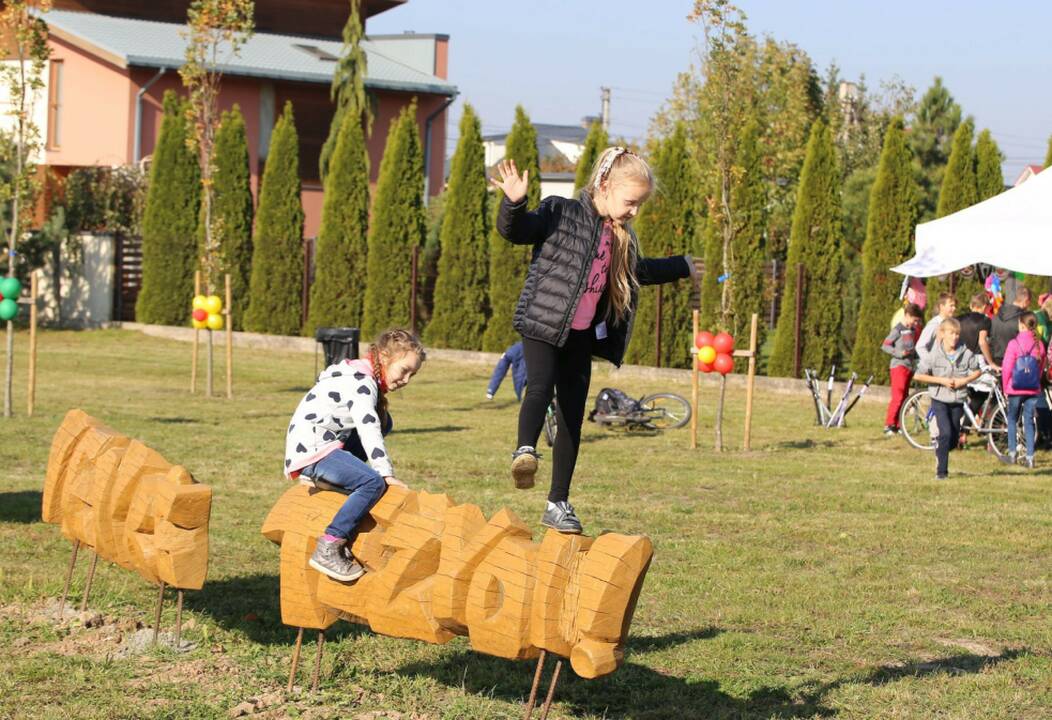  Priežiūra: seniūnijos prižiūri ir jų teritorijose esančių dviračių takų pakeles.