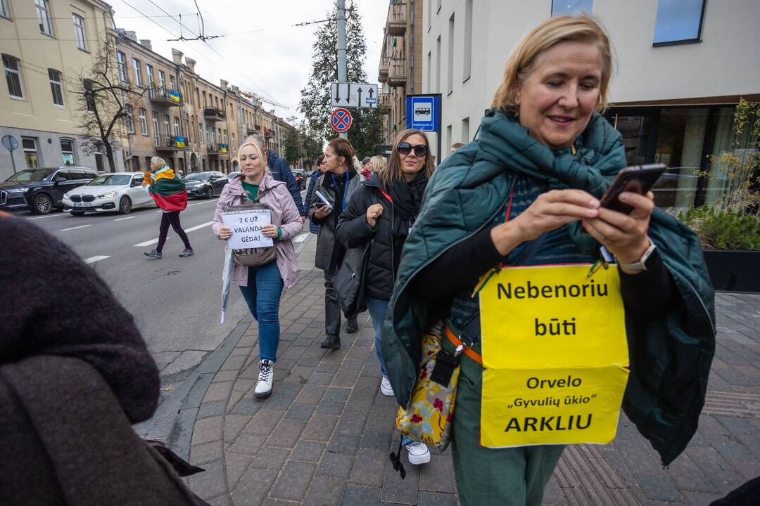 Mokytojų streikas prie Vyriausybės