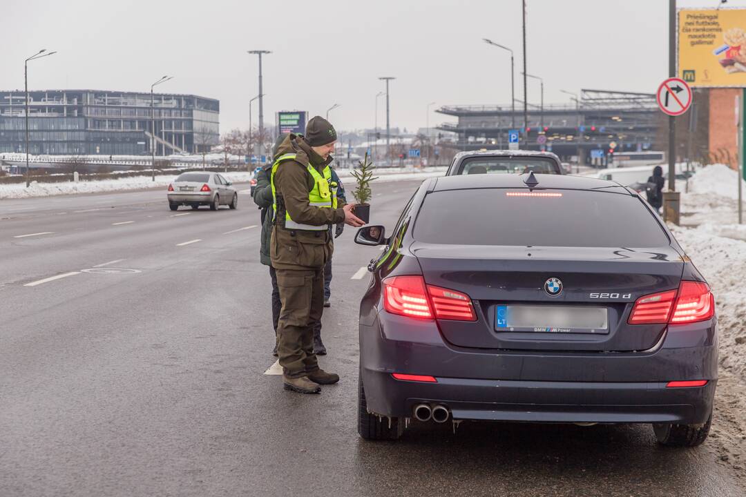 Kaune miškininkai su policija vairuotojams dovanojo eglutes