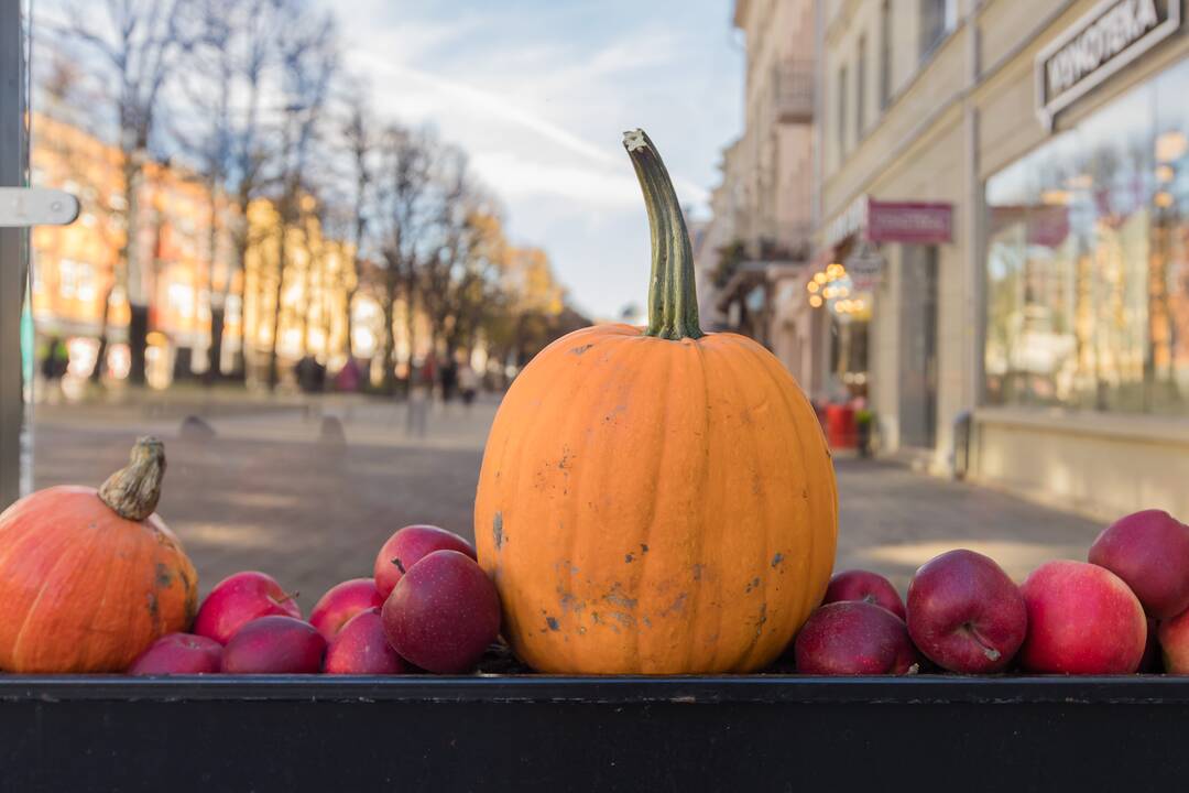 Laisvės alėjoje - Helovino dvelksmas