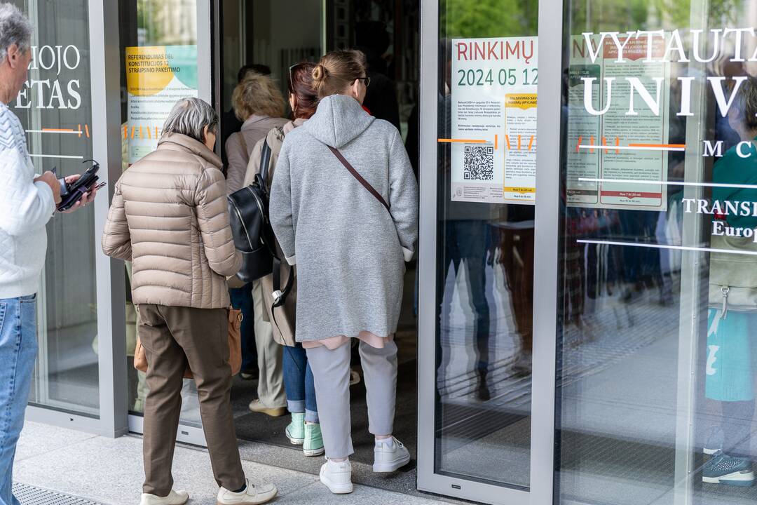 Išankstiniai rinkimai VDU