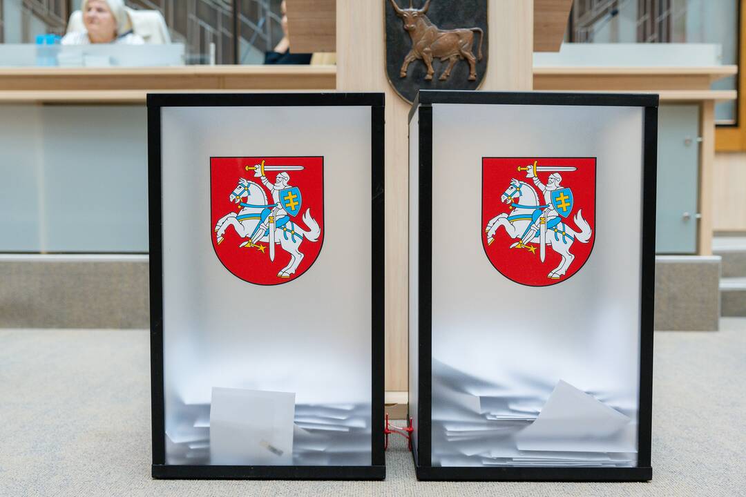 Išankstiniai rinkimai į Europarlamentą Kaune