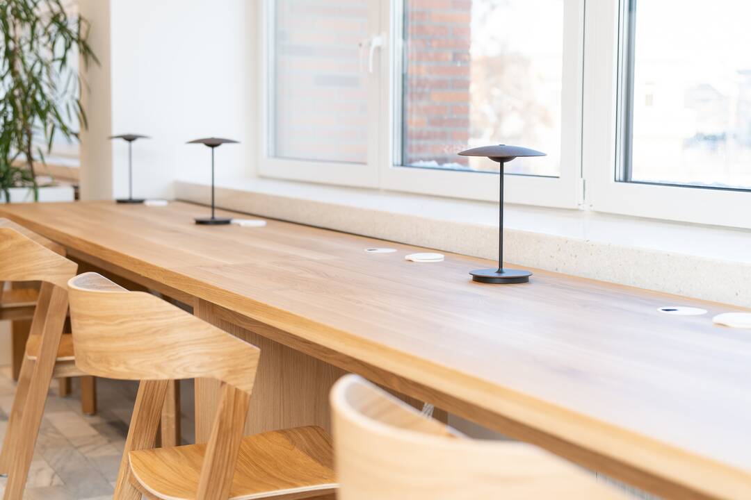 Ąžuolyno bibliotekos pristatymas