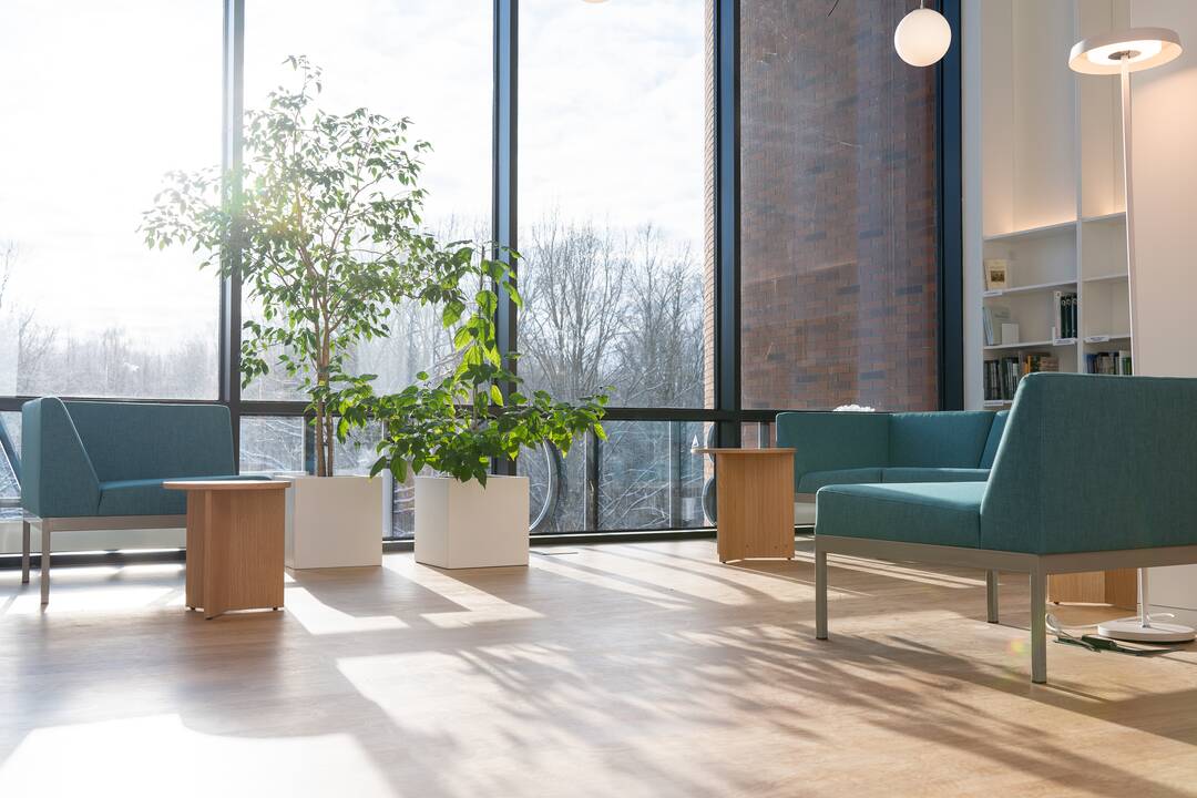 Ąžuolyno bibliotekos pristatymas