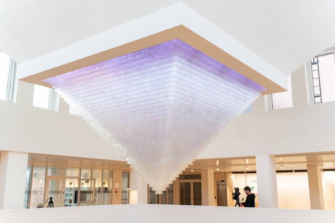 Ąžuolyno bibliotekos pristatymas