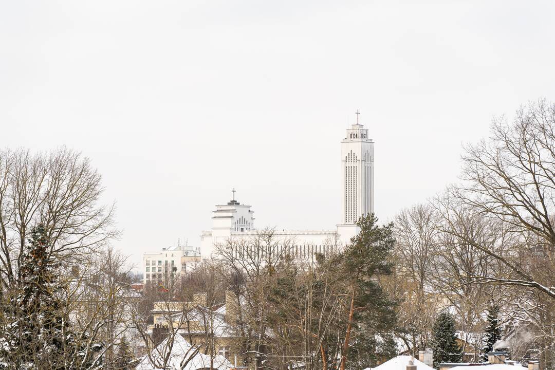 Ąžuolyno bibliotekos pristatymas