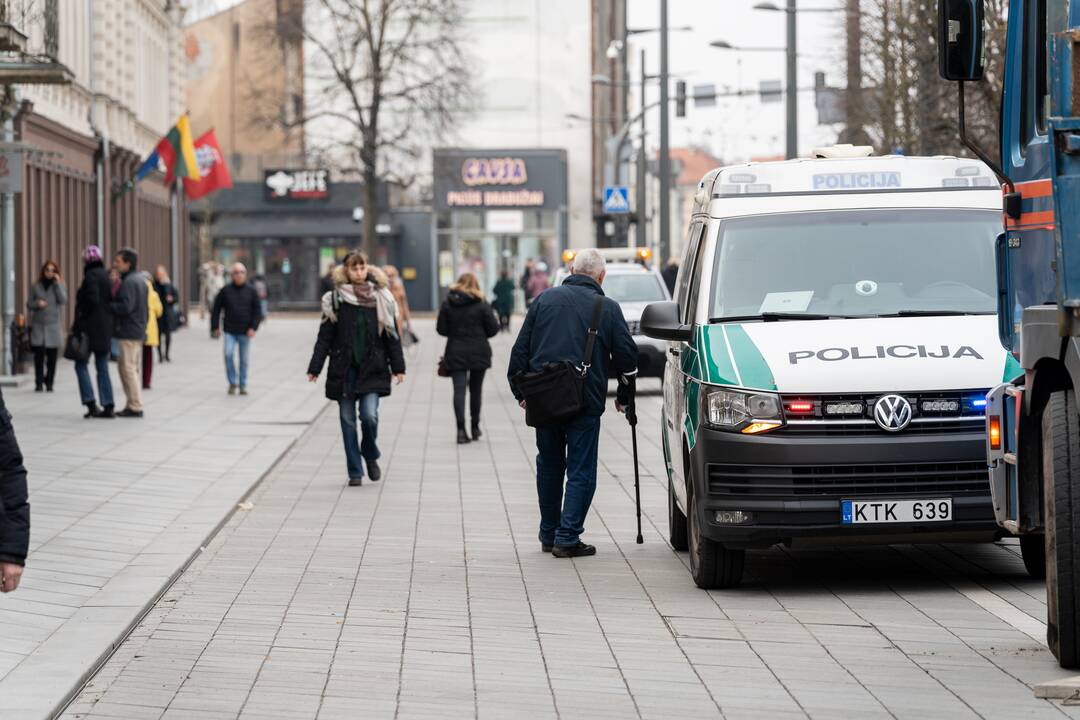 Laisvės alėjoje ant darbininko nuvirto liepa