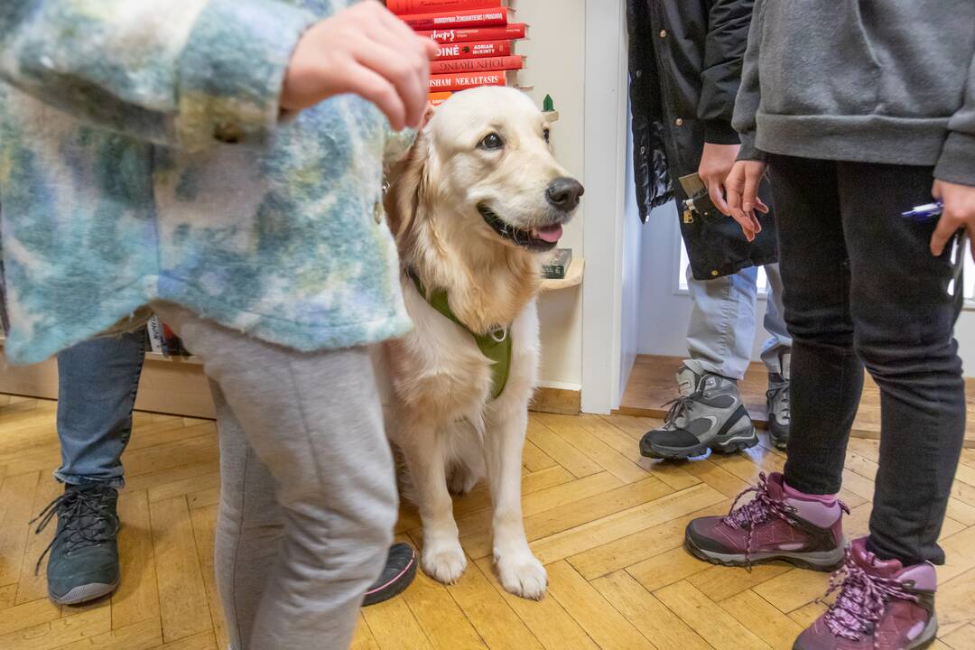 Pakvietė vaikus skaityti su šunimis