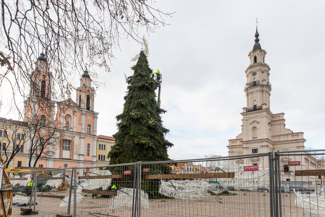 Pasirengimas Kalėdoms Rotušės aikštėje įgauna pagreitį