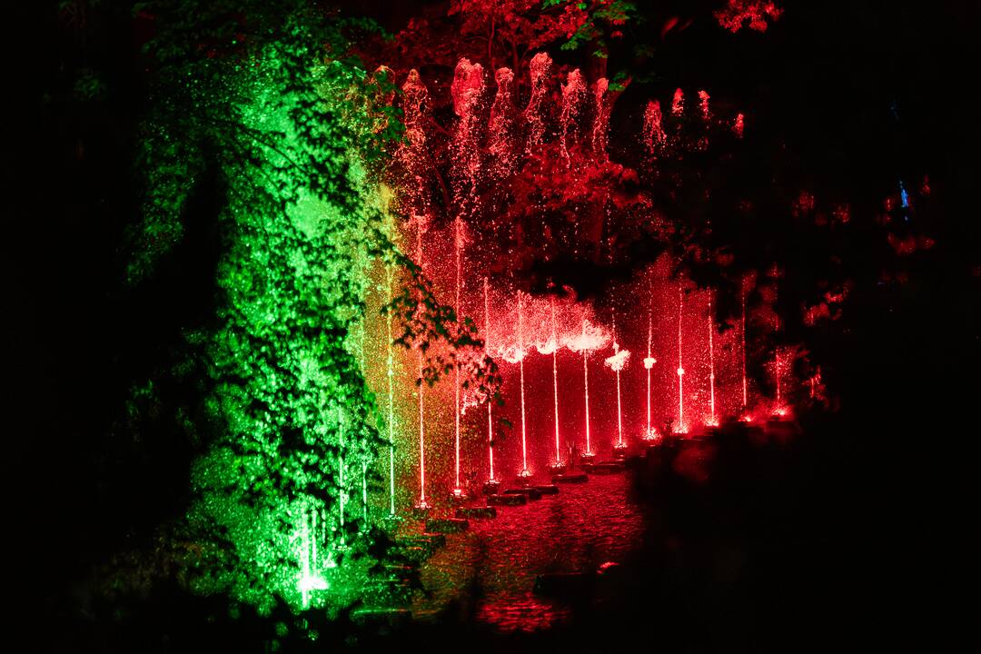 Botaninės naktys - Tas nuostabus Čiurlionio pasaulis 