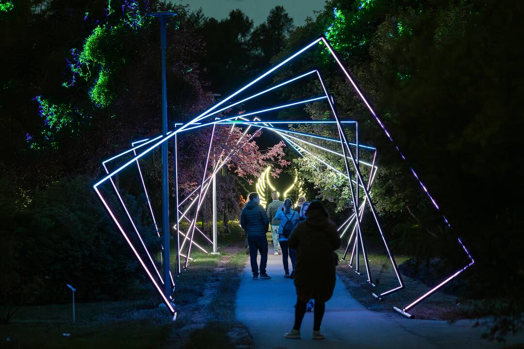 Botaninės naktys - Tas nuostabus Čiurlionio pasaulis 
