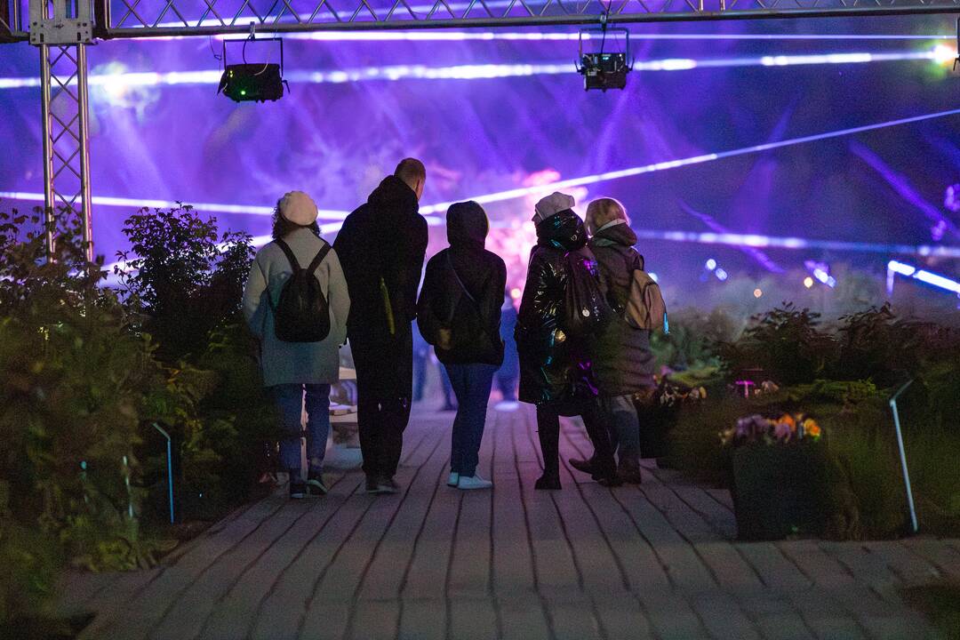 Botaninės naktys - Tas nuostabus Čiurlionio pasaulis 