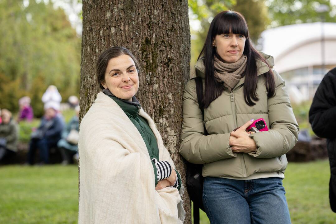 Botaninės naktys - Tas nuostabus Čiurlionio pasaulis 