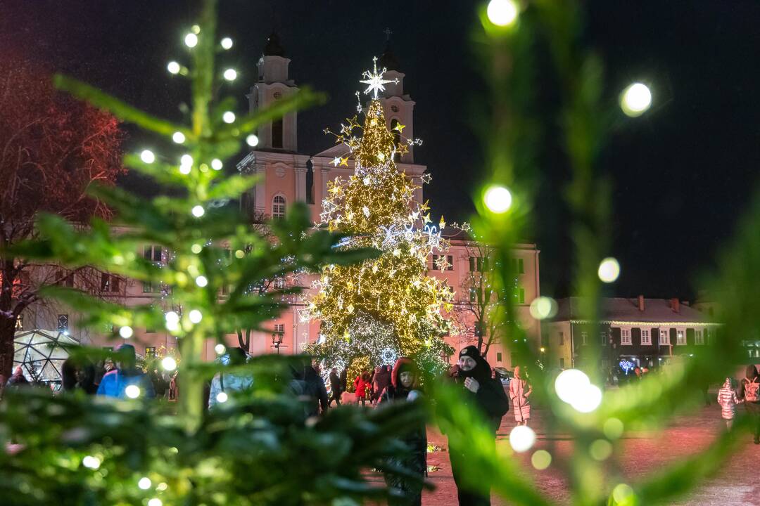 Kauniečiai atsisveikina su Kalėdų egle