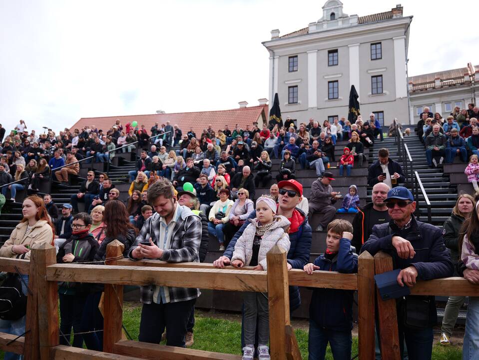 Viduramžių miestelis