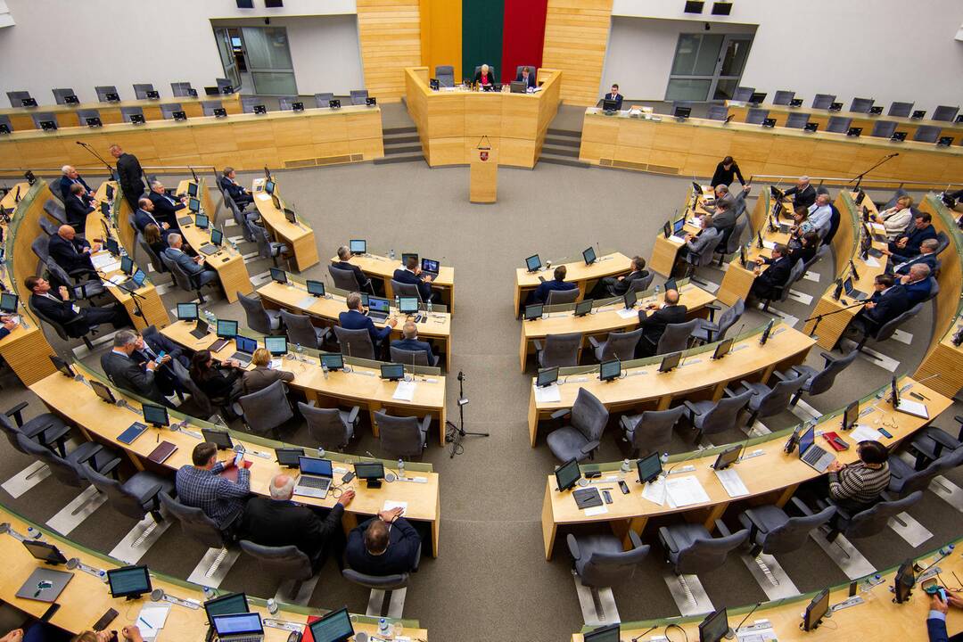 Seimą papildys septyni nauji nariai: rinkimai – rugsėjį
