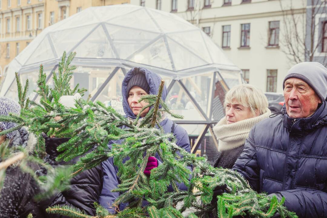 Miškininkai dalino eglių šakas