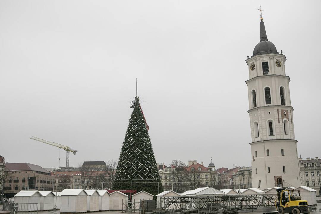Ruošiama Vilniaus kalėdinė eglė
