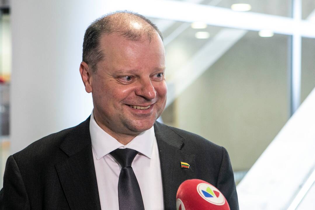 S. Skverneliui Vyriausybės reklama prieš rinkimus nekliūna – tai įprastas dalykas