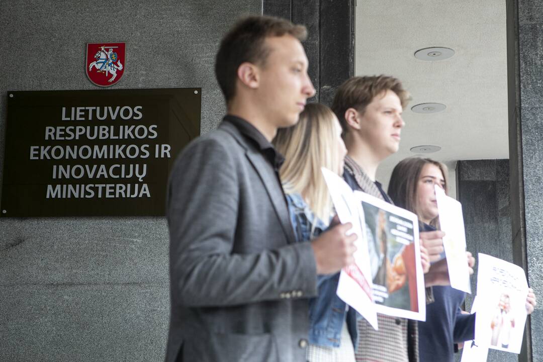 Jaunųjų konservatorių lyga surengė protestą