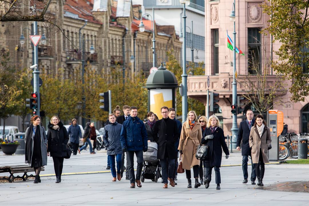Išankstinis balsavimas: balsuoja partijų lyderiai