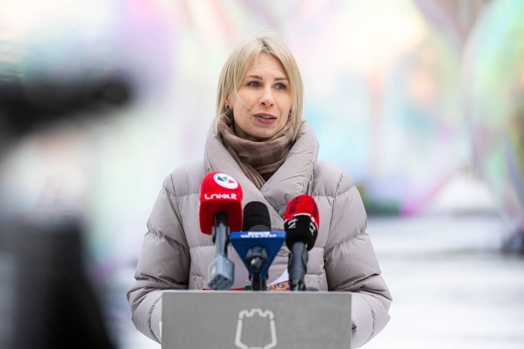 Vilniaus miesto 699-ojo gimtadienio pristatymas