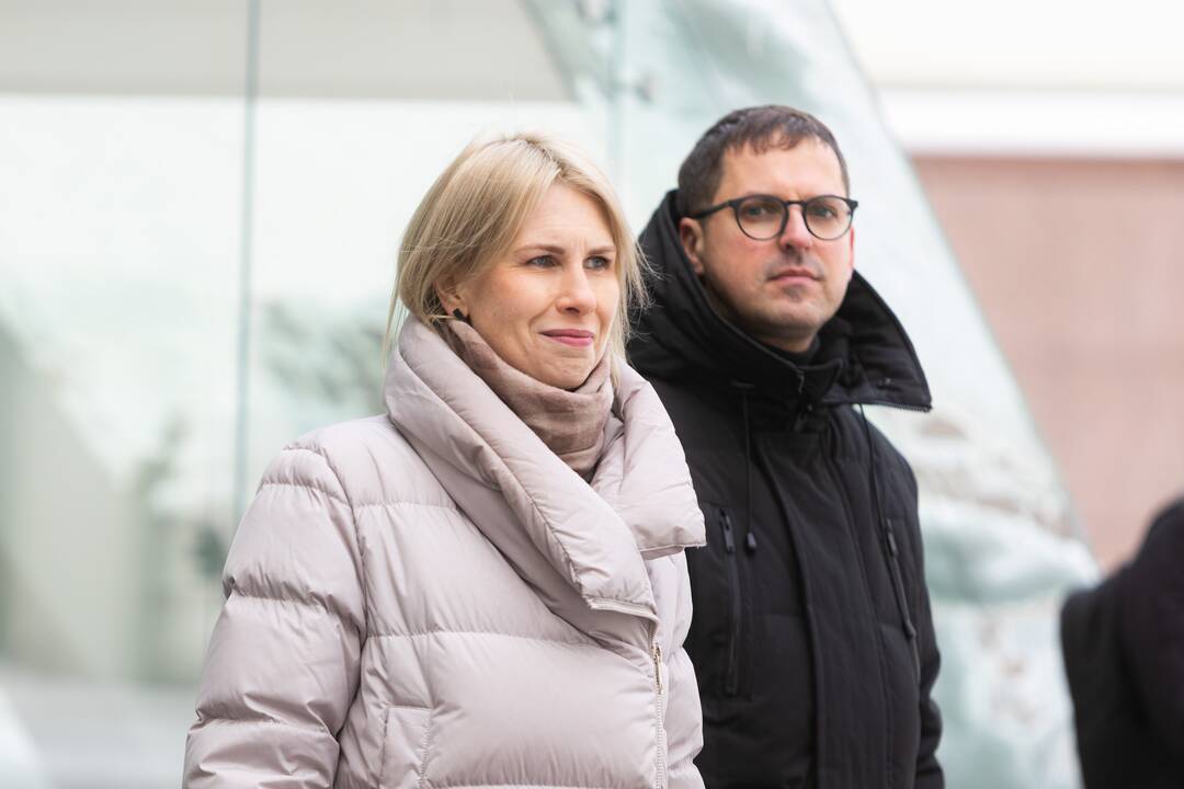 Vilniaus miesto 699-ojo gimtadienio pristatymas